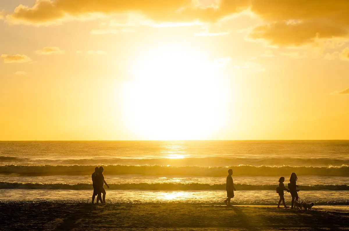 Comparing Three Family Day Trips from Liverpool: Beach, Farm and Forest